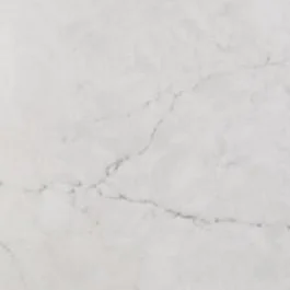 White quartz slab with soft grey veining, a standard countertop option